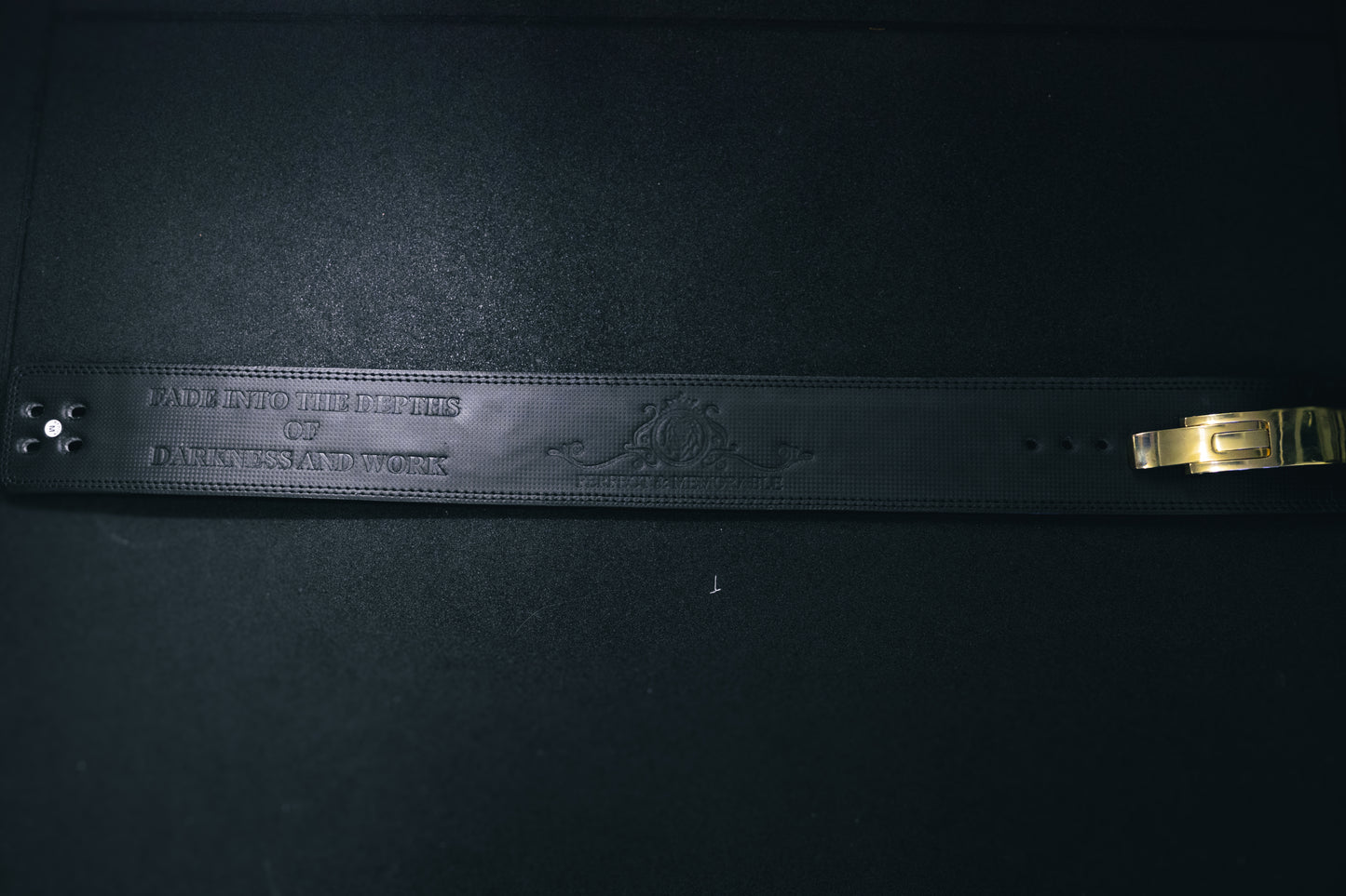 P&M | BLACK CARBON LIFTING BELT